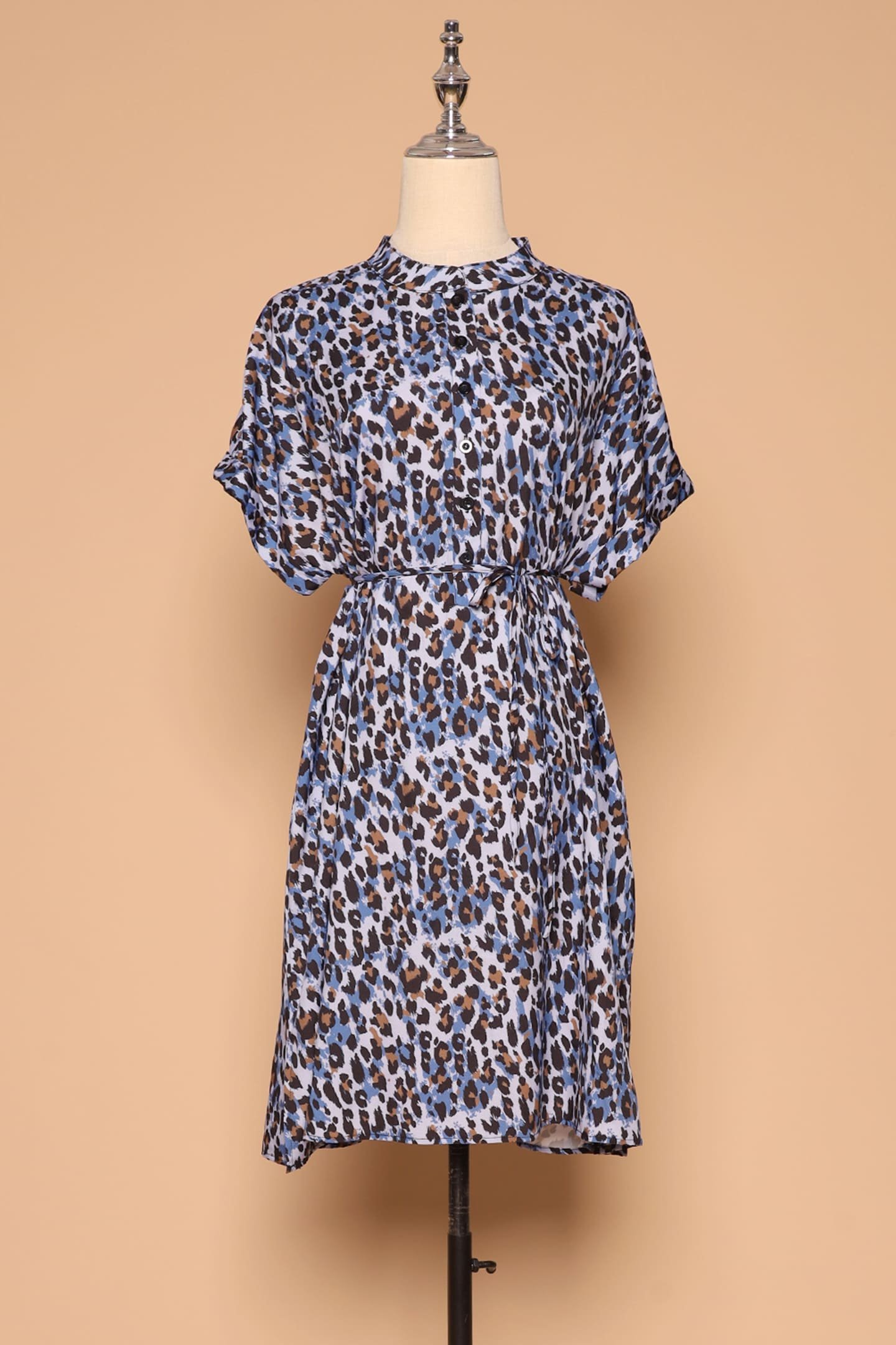 PO - Penn Dress in Leopard Print - Image 1